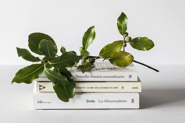 Стипендии и стажировки января — Образование на The Village Казахстан