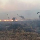 Токаев наградил 20 казахстанцев за помощь в тушении пожаров в Костанайской области