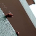 21 жасқа толмаған азаматтарға темекі сатуға тыйым салынады