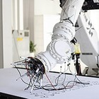 Проект Ornamika открыл экспериментальную онлайн-выставку исторических узоров 