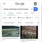 Google теперь предупреждает о фейковых фотографиях