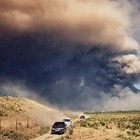 Десять человек задержали за распространение ложной информации о событиях в Арысе