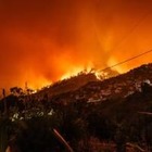 Ученые: Июль оказался рекордным по лесным пожарам в мире