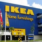 IKEA будет сдавать в аренду мебель
