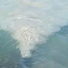 В Алаколь сливают сточные воды