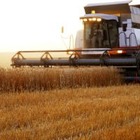 НСОД рассмотрит вопрос продажи земель сельхозназначения 