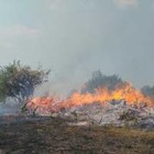 После пожаров в Костанайской области арестован глава Басаманского лесхоза
