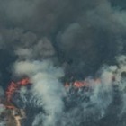 В Амазонии продолжают гореть леса. Потеря лесов отразится на климате  