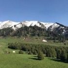 Мотоциклисты портят траву близ Кок-Жайлау, но закон не позволяет привлечь их к ответственности