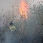 Возгорание сухостоя близ Астаны локализовано, но тушение продолжается
