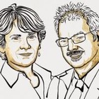 Группа ученых получила Нобелевскую премию по химии за новый метод синтеза молекул