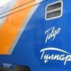 Известного спортсмена подозревают в попытке изнасилования в «Тальго»