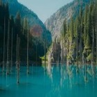 На озере Кайынды планируется строительство дамбы