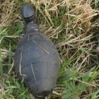 Немецкие саперы выехали обезвреживать гранату, но это оказалась секс-игрушка