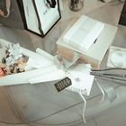 Казахстанцев возмутила роскошная жизнь дочери акима Абайской области