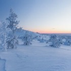 6 января на востоке Казахстана ожидается мороз до 40 градусов