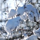 В Казахстане может потеплеть на выходных