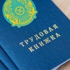 Трудовые книжки отменят в 2019 году