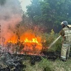 Вторые сутки тушат крупный лесной пожар в области Абай