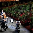 Оперный театр в Барселоне провел концерт перед двумя тысячами растений в горшках
