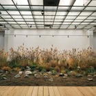 В Алматы открылась выставка Birge Öskende-Growing Together