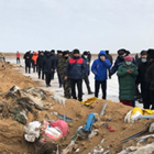 Ферму, где остатки свиней закапывали в траншеи, ограничили в работе