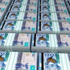 На внеочередные выборы президента выделят 9,4 миллиарда тенге