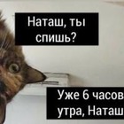 Автор мема «Наташ, мы все уронили» решила зарегистрировать товарный знак