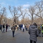 В Алматы прошел митинг в поддержку независимых кандидатов в мажилис