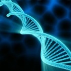 Китайский ученый сообщил об искусственном изменении ДНК у новорожденных