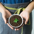 В Алматы пройдет экологический флешмоб за спасение почвы