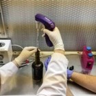 Пиво из дрожжей, найденных в затонувшем корабле, собираются воссоздать в Нью-Йорке