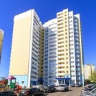 В Алматы стерли мурал сербского художника