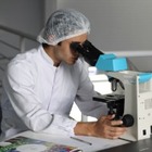ВОЗ вызывает комитет по ЧС из-за оспы обезьян
