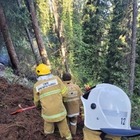 Пожарные тушат 100 гектаров горящего камыша на Балхаше