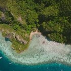 В Таиланде запретили вредные для кораллов солнцезащитные кремы