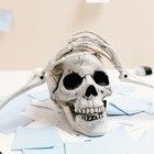 В затопленной пещере у берегов Мексики был найден доисторический скелет человека