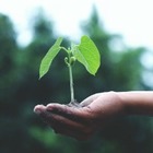 Весь годовой запас возобновляемых ресурсов Земли истрачен