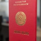 Этнический казах из Монголии рассказал, с какими проблемами сталкиваются репатрианты