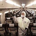 В Южной Корее растет число инфицированных коронавирусом