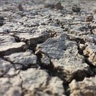 За сутки в Центральной Азии произошло четыре землетрясения