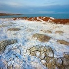 Как руководство страны собирается бороться с высыханием Арала?