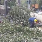Сильный ветер ожидается в Алматы — ДЧС Сильный ветер ожидается в Алматы — ДЧС