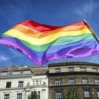 Израиль разрешил однополым парам иметь детей через суррогатное материнство