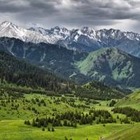 Пожар в урочище Кок-Жайлау потушен. Вот как выглядят его последствия