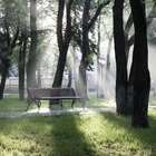 Два земельных участка в центре Алматы могут изъять и сделать там скверы 
