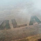 В Алматы высадят деревья в форме международного кода города
