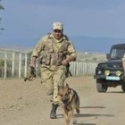 Трое россиян попытались незаконно пересечь границу в Костанайской области