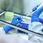 110 смертей за неделю не вошли в статистику по COVID-19