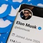 Twitter предоставит Илону Маску данные о фейковых аккаунтах